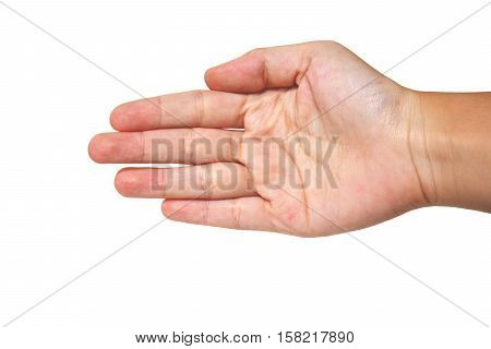 open hands style with white background,five fingers