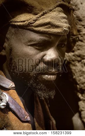 Mali, Africa - Dogon Village And Typical Mud Buildings
