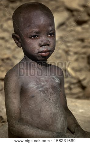 Mali, Africa - Dogon Village And Typical Mud Buildings