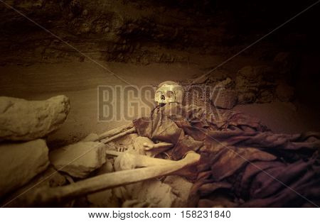 Mali, Africa - Dogon Village And Typical Mud Buildings