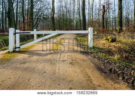 Closed white painted wooden gate at the entrance of a Dutch estate across a sandy road. It's a sunny day in the end of the winter season in the Netherlands. The majority of the trees is still leafless.