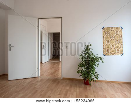 apartment with wallpaper and flowers stock