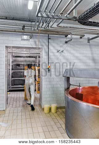 Cheese Maker Working In The Dairy In France