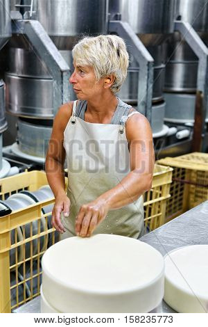 Cheesemaker Putting Young Comte Cheese Into Forms Dairy