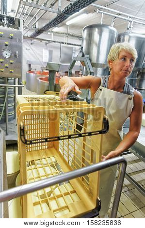 Cheesemaker Working At The Dairy In France