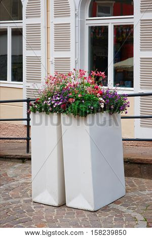 Flowerbed In City Center Of Baden Baden Germany