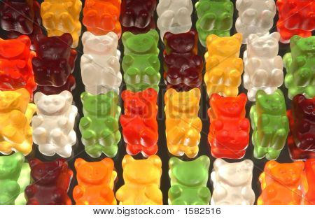 GOM Candy beren