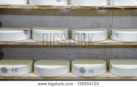 Shelves Of Young Cheese At Maturing Cellar Franche Comte Creamery