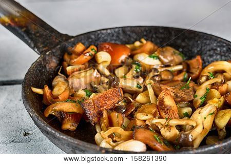 Sauteed wild mushrooms with garlic and parsley