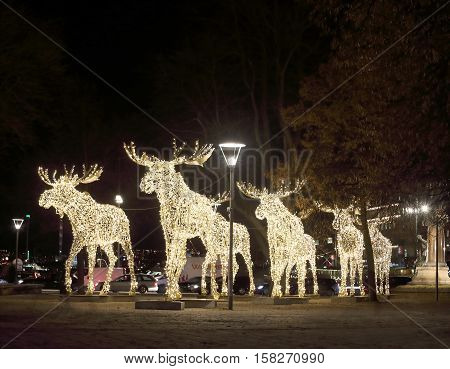 Herd of Christmas moose made of led light Nybrokajen Stockholm Sweden