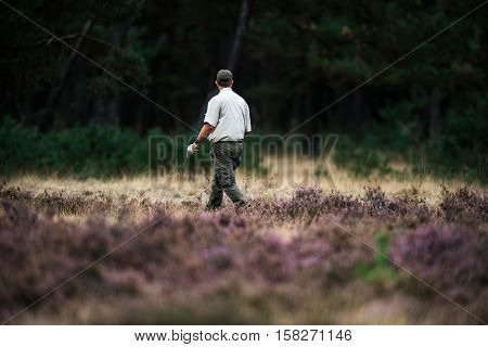 Forester Spreading Food For Red Deer In Rutting Season. National Park Hoge Veluwe.