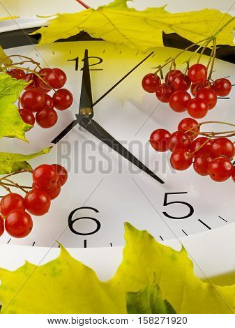 5 o'clock. Clock face with yellow leaves and red ripe viburnum. Autumn time.
