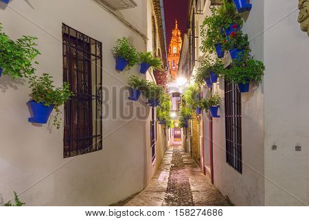 Flowers in flowerpot on the white walls on famous Flower street Calleja de las Flores in old Jewish quarter of Cordoba and Bell Tower Mezquita at night, Andalusia, Spain