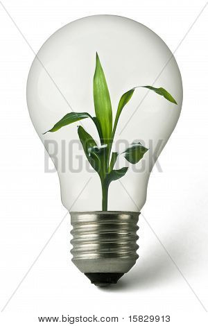 Energía verde