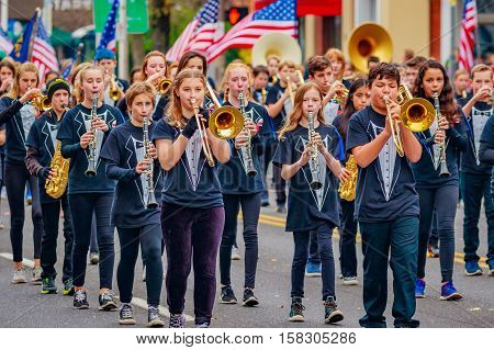 Veterans Day Parade 2016