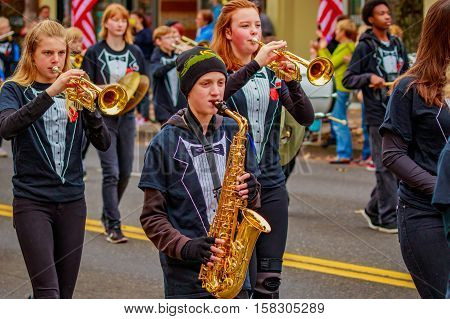 Veterans Day Parade 2016
