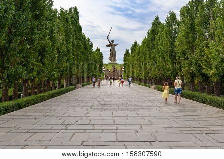 Avenue Of Lombardy Poplars. Memorial Complex Mamayev Kurgan In Volgograd