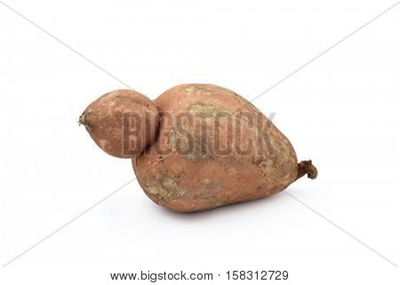 a sweet potato with weird shape a on a white background
