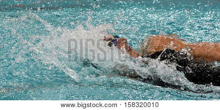 Hong Kong China - Oct 29 2016. Olympic world and European champion swimmer Katinka HOSSZU (HUN) swimming backstroke. FINA Swimming World Cup Preliminary Heats Victoria Park Swimming Pool.