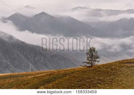 Scenic autumn airview on the tree the mountain slopes with sparse vegetation fog and clouds on a background cloudy sky