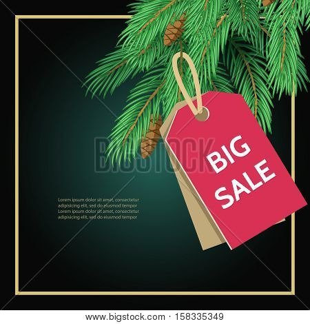 Big sale card background poster. Stock vector illustration with fir branches and sale label on black background.
