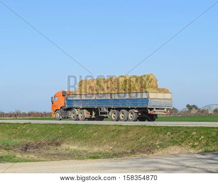 Truck Carrying Hay In His Body. Making Hay For The Winter.