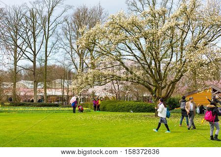 Lisse, Netherlands - April 4, 2016: People walking and making photos in dutch spring garden Keukenhof, Lisse, Netherlands