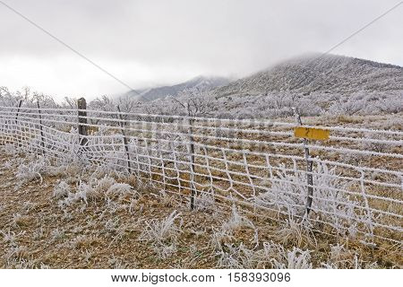 Texas Ranch in an Ice Storm near Alpine Texas
