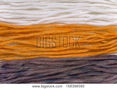 Wool yarn swatches colored by henna and indigo and control white sample