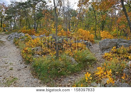 Autumn colours on display in the Carso karst limestone area of Friuli near Aurisina in north east Italy. The wooden signs indicate a walking trail.