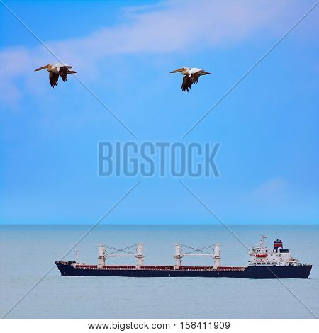 Bulk Carrier Ship in the Black Sea
