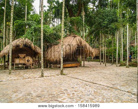 Traditional hut at Li village, Hainan, China
