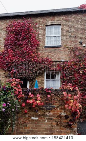 Winslow, Buckinghamshire, United Kingdom, October 25, 2016: The Bell Hotel With Red Creeping Ivy On
