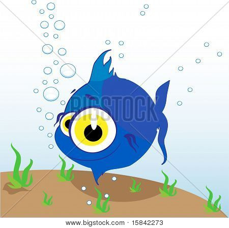 海の魚