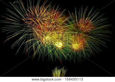 Colorful fireworks on the black sky background
