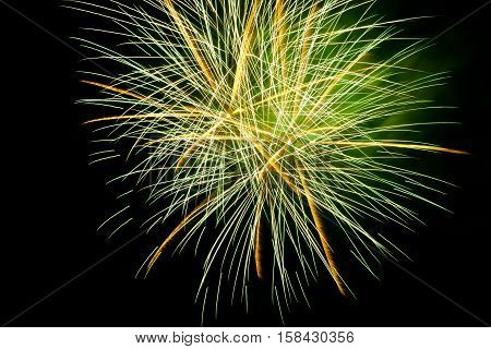 Colorful fireworks on the black sky background