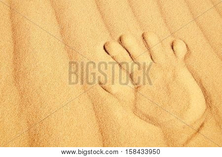 Trace of the hand on the golden sand