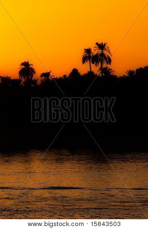 Oasis