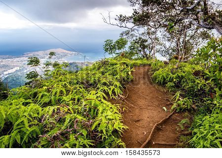View of Kuliouou Ridge trail overlooking the south shore of Oahu, Hawaii