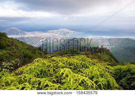 View of Kuliouou Ridge trail overlooking the south shore of Oahu, Hawaii