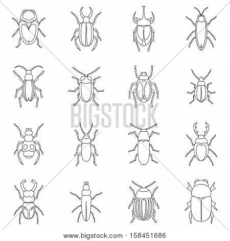Bugs icons set. Outline illustration of 16 bugs vector icons for web