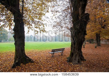 Autumn In Vicenza