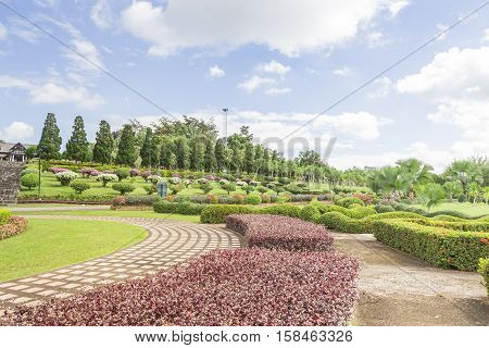 Garden flowers , mae fah luang garden In Chiang Rai .