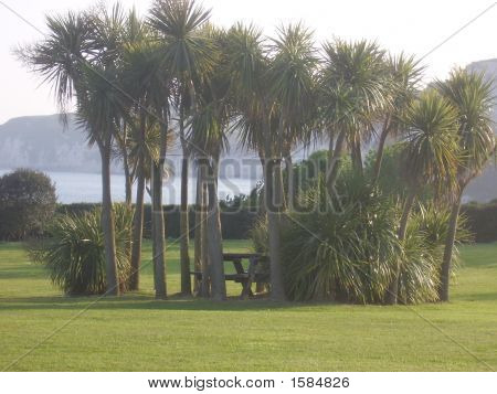 Picknick-Oase