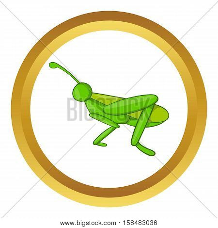 Grasshopper vector icon in golden circle, cartoon style isolated on white background