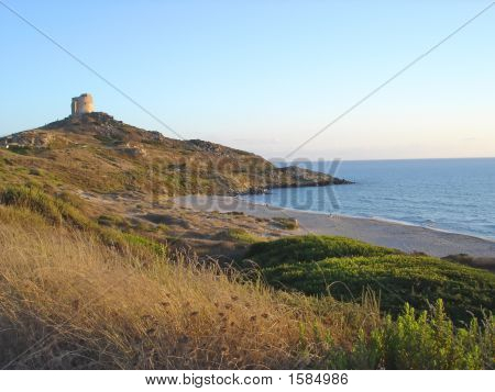 Beach With Savana, Barca, Sardinia, Italy