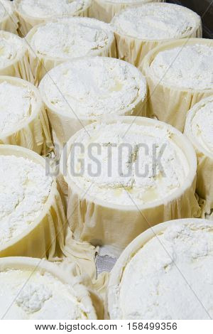 Pieces Of Fresh Cheese Wrapped In Cloth Canvas