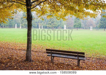 Autumn In Vicenza