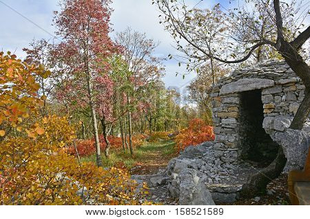 A World War One bunker in the Carso karst limestone area of Friuli Venezia Giulia near Aurisina Italy. The area was a major theatre of battle during the war and many remnants still remain today.
