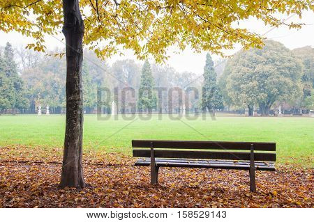 Autumn In Vicenza